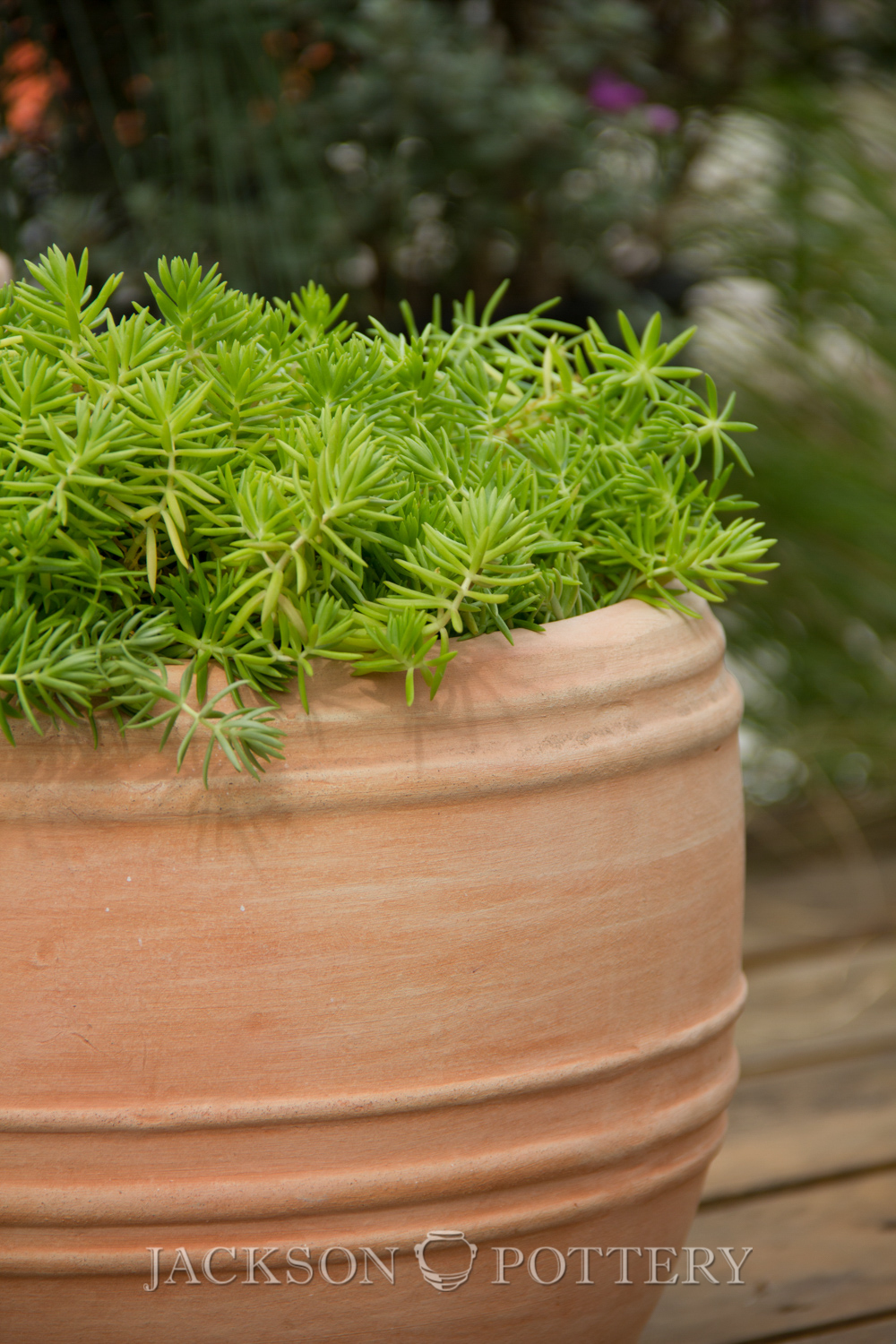 Jackson Pottery AT1037S3 Multi Ring Pot Set of 3