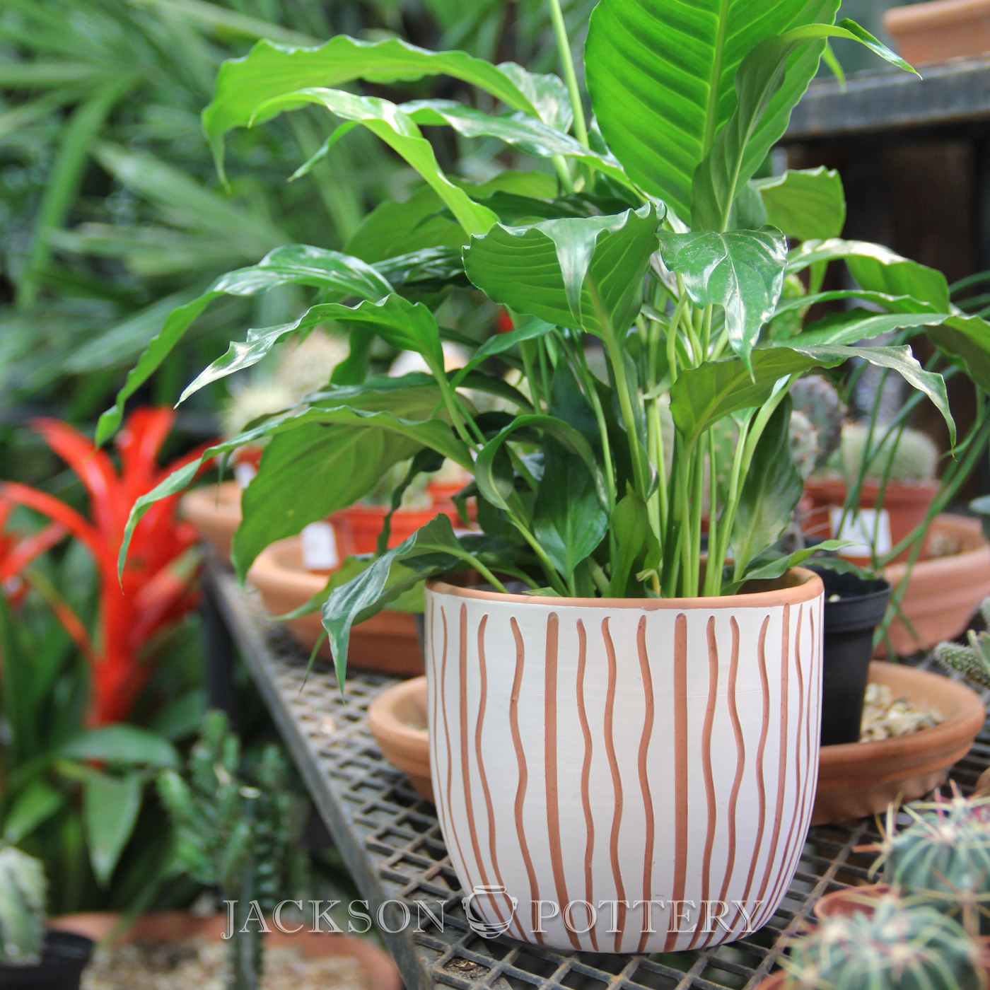 Jackson Pottery FGCPP004 144 Pc. Carved Clay Indoor Collection