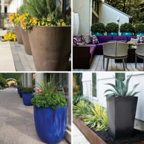 Picture for category PRO LANDSCAPE FAVORITES