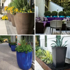 Picture for category PRO LANDSCAPE FAVORITES