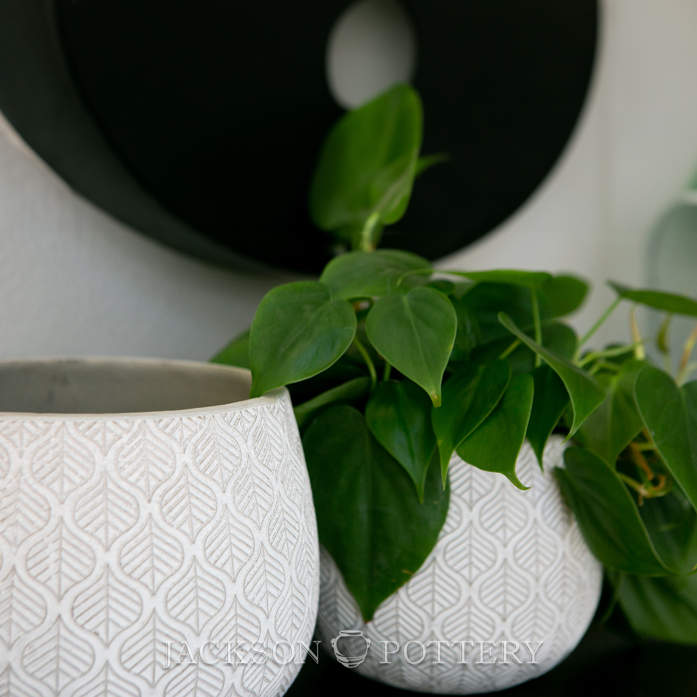 jackson-pottery-lcp-238-mirkwood-planter