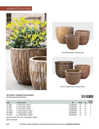 Picture of Atlantic Collection I | 24 Pcs. | 8 sets