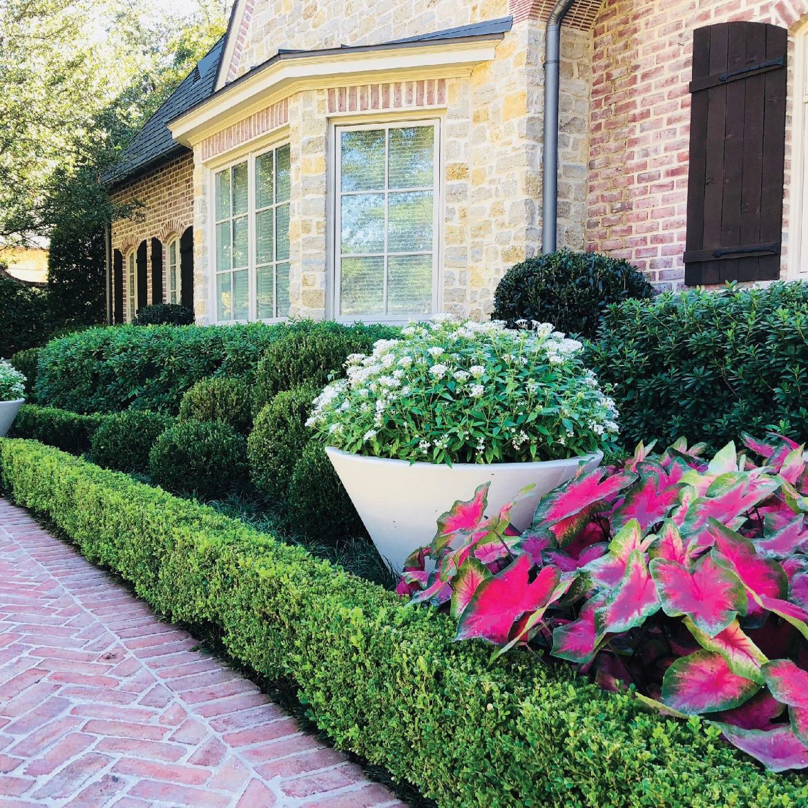 Picture of JCS-86408 Strobile Planter, 24.5 in.